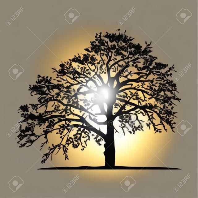 Realistic oak tree silhouette (Vector illustration) .Eps10