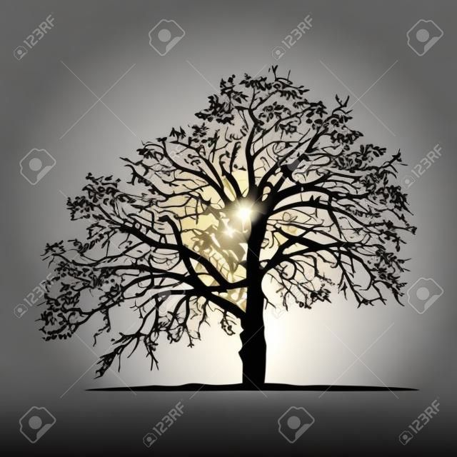 Realistic oak tree silhouette (Vector illustration) .Eps10