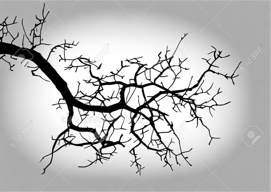 Ilustração em vetor silhueta realista galhos de árvore