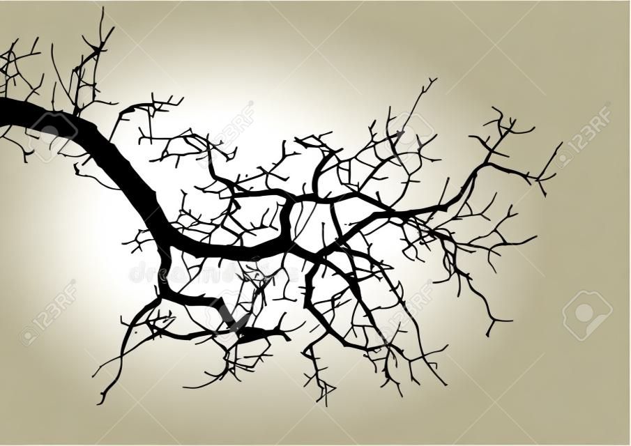 Ilustração em vetor silhueta realista galhos de árvore