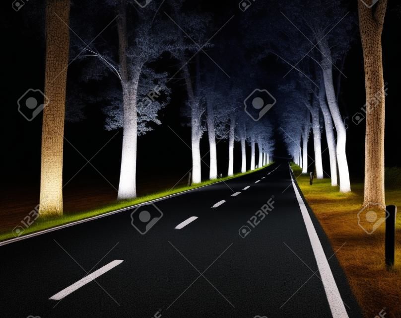 Asphalt road at night along the trees