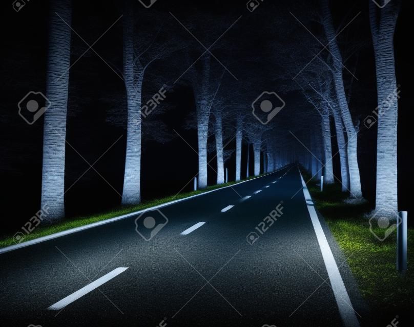 Asphalt road at night along the trees