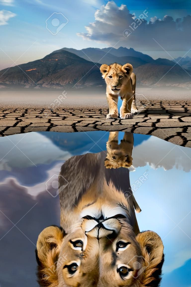 Filhote de leão olhando o reflexo de um leão adulto na água em um fundo de montanhas