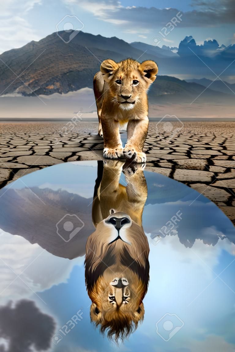 Leeuwen welp kijkend naar de reflectie van een volwassen leeuw in het water op een achtergrond van bergen