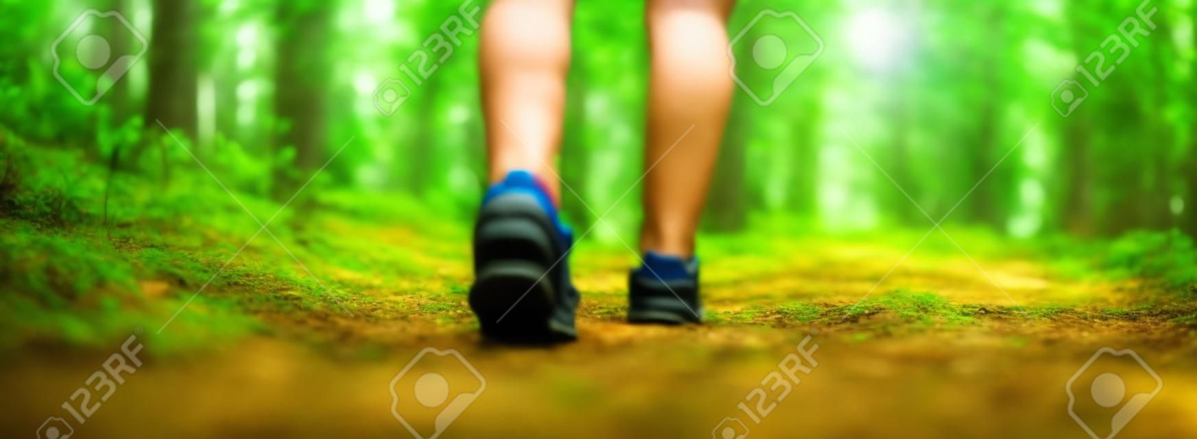 Womans legs hiking in the forest in summer.
