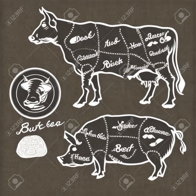 돼지 고기와 쇠고기 인하 - 손으로 그린​​ 세트