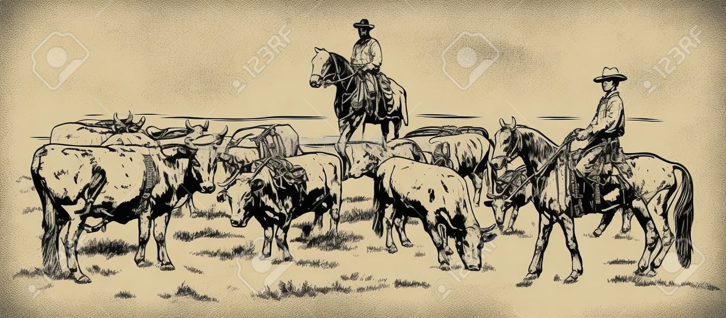 Привод крупного рогатого скота двумя ковбоями, рисованной векторной иллюстрации.