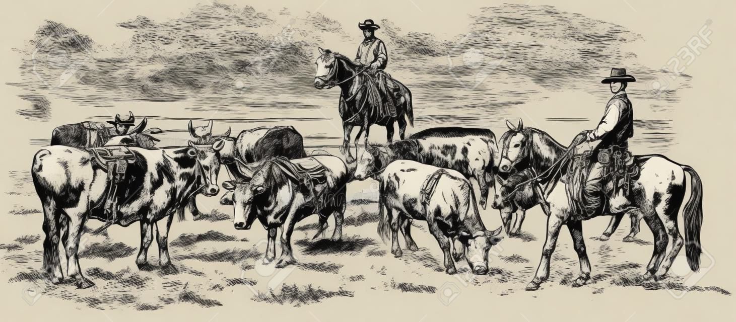 由兩名牛仔駕駛的牛，手繪矢量圖。