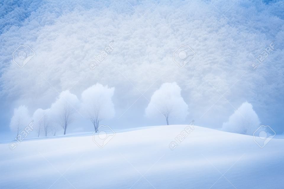 Schnee und Raureif bedeckte Bäume im eisigen Morgen . Erstaunliche Winterlandschaft