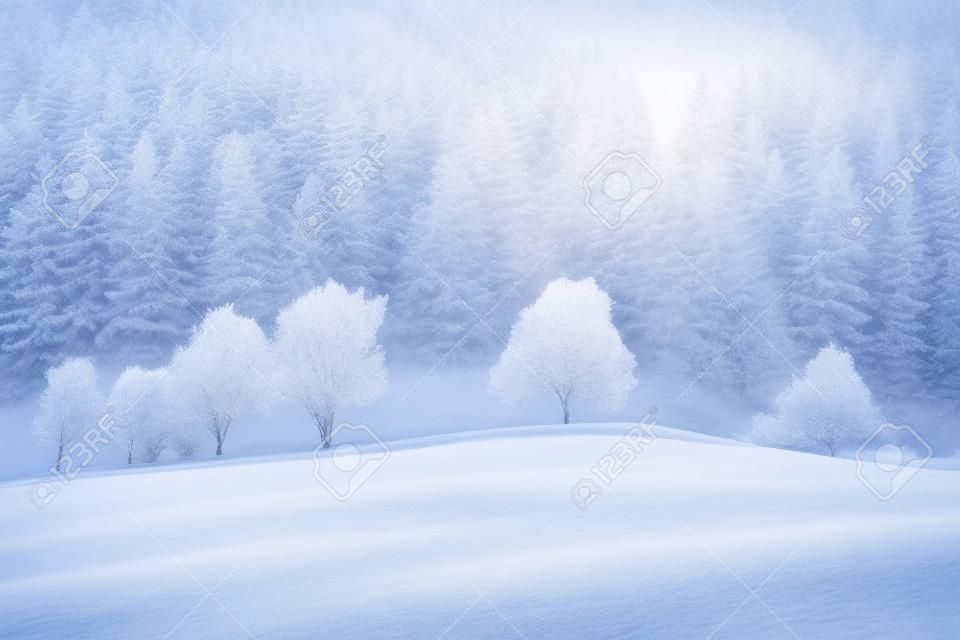 Schnee und Raureif bedeckte Bäume im eisigen Morgen . Erstaunliche Winterlandschaft