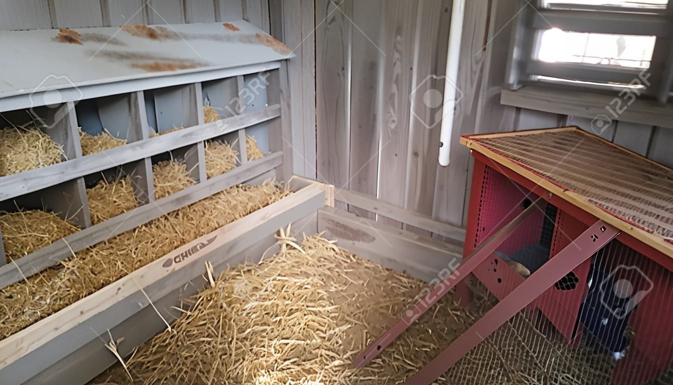 Interior of chicken coop with 10-hole nesting box.