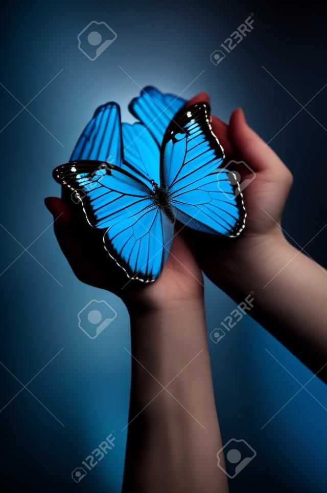 Mains tenant un papillon bleu sur un fond sombre