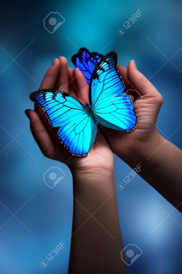 Mains tenant un papillon bleu sur un fond sombre