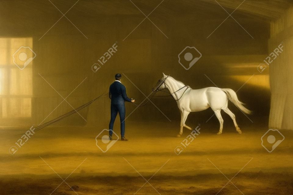 The man training his horse in manege