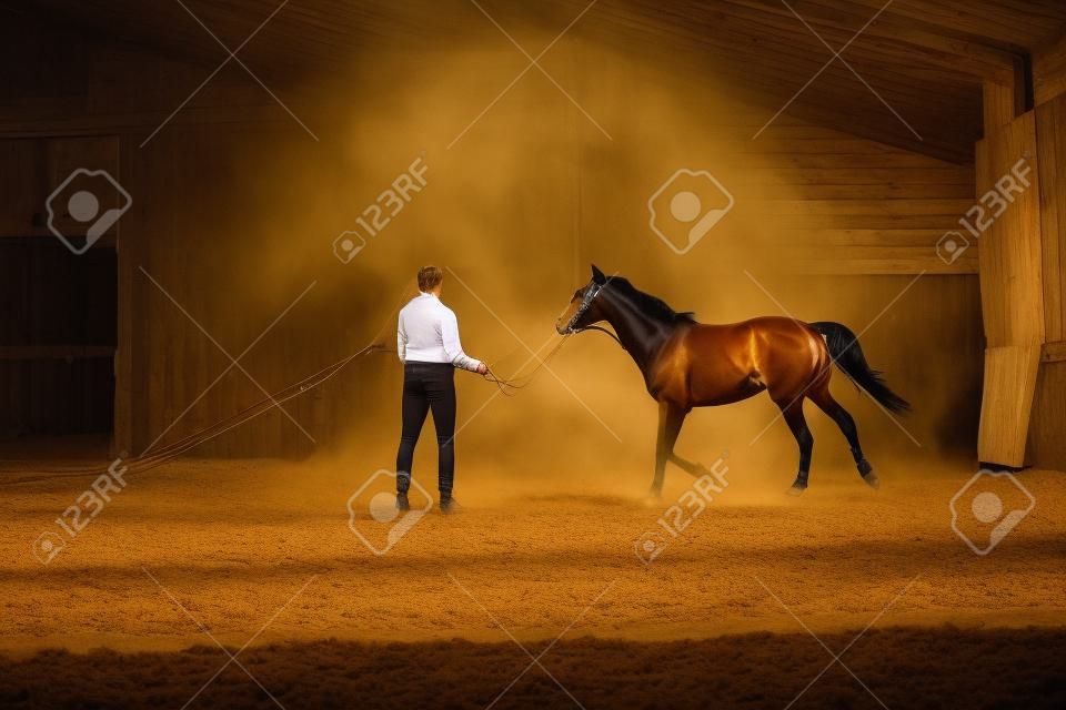 The man training his horse in manege