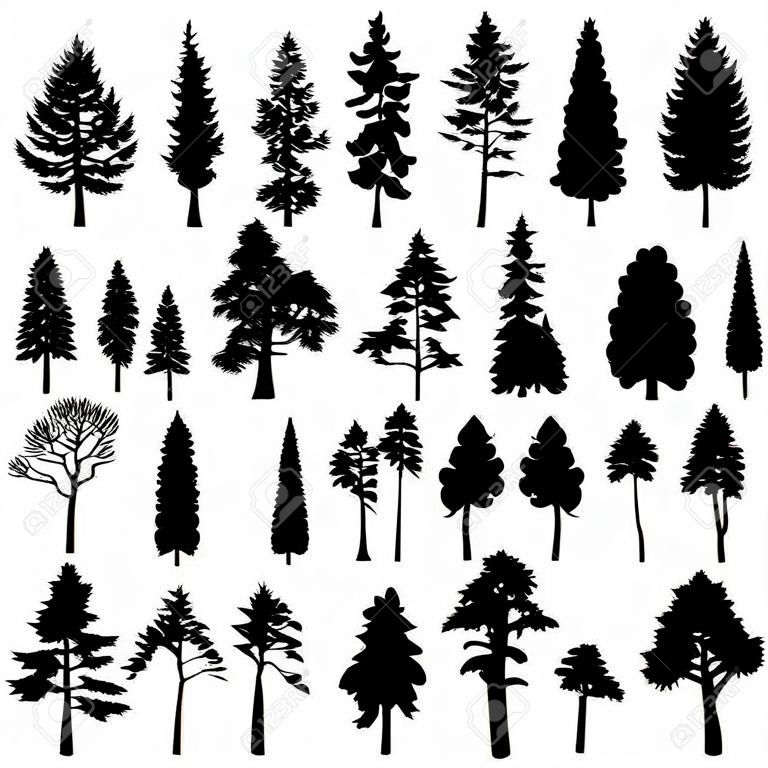 conjunto de conjunto de árvores de coníferas, ilustração vetorial