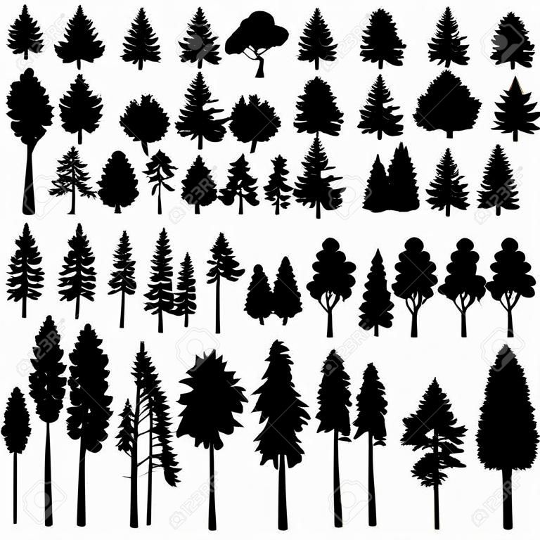 set coniferbomen, vectorillustratie
