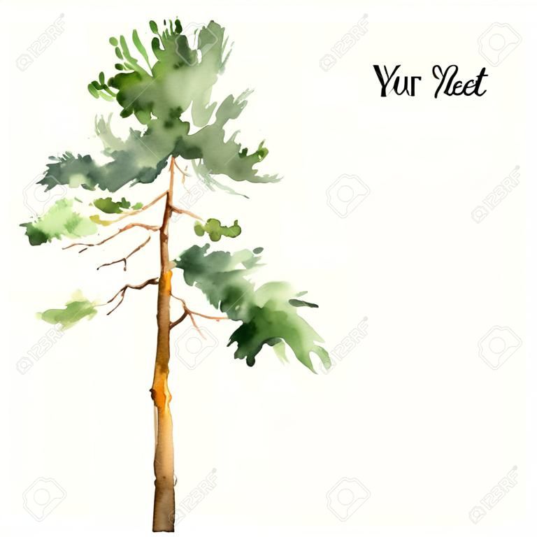 alto árbol de pino en el día asoleado dibujo de acuarela, dibujo acuarela de la naturaleza salvaje, bosque pintura, dibujado a mano ilustración vectorial