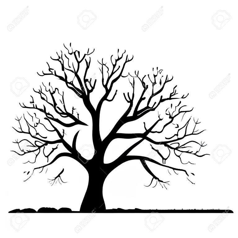 Silhouette of  tree without leaves, winter tree, hand drawn vector illustartion