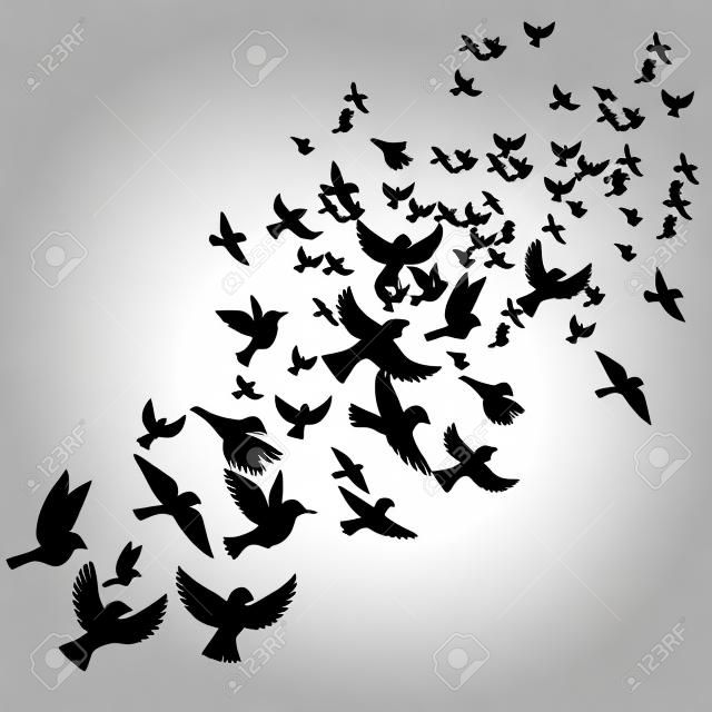 Bird flock, vector flying birds silhouettes, hand drawn songbirds