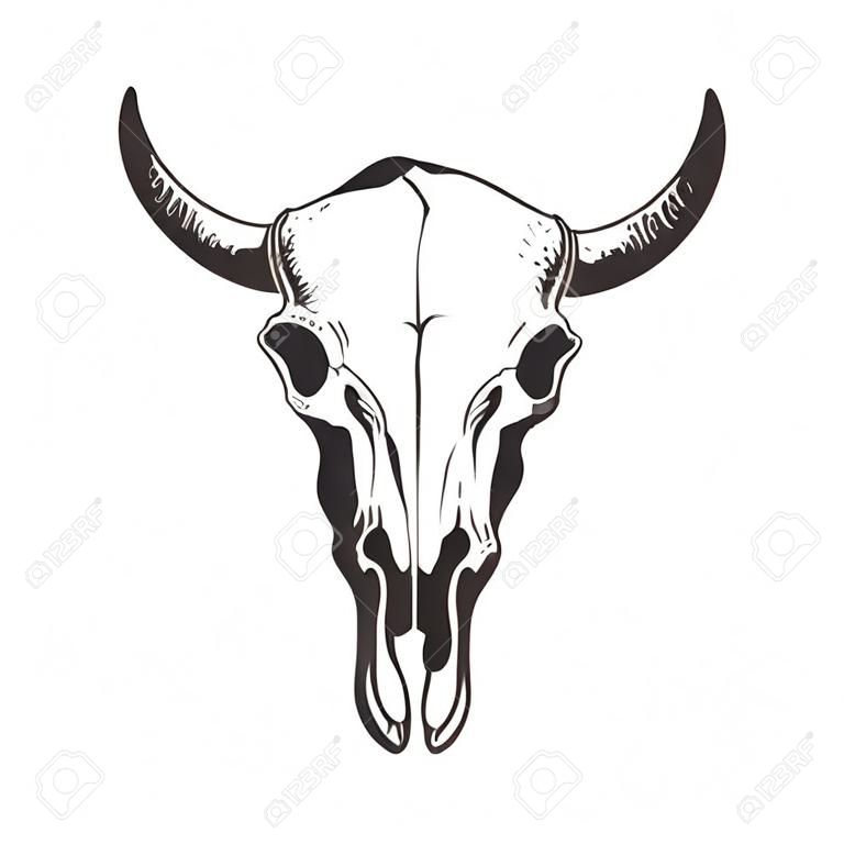 Hand drawn bison skull. Buffalo cranium vector illustration. Black isolated on white background. 
