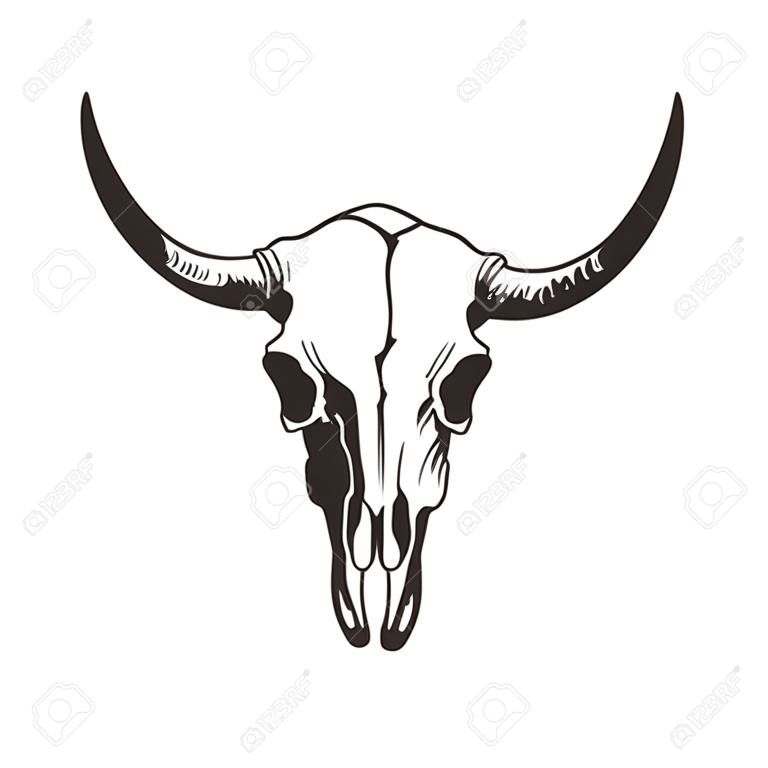 Hand drawn bison skull. Buffalo cranium vector illustration. Black isolated on white background. 