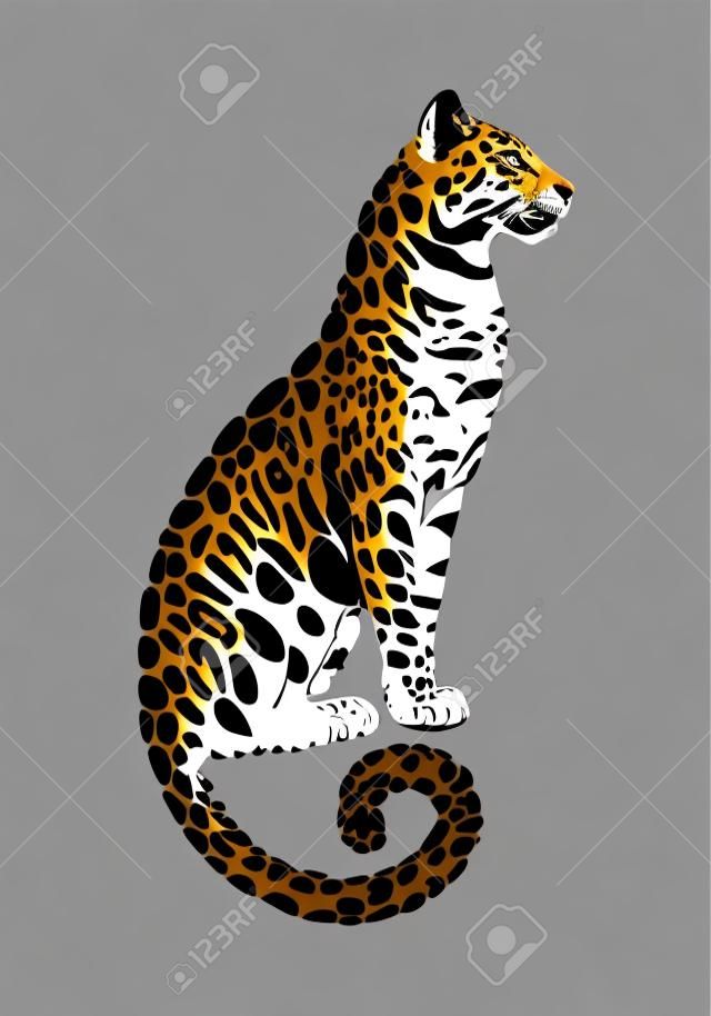 Jaguar spotted silhouette. Vector sitting wildcat graphic illustration. Black isolated on white background.