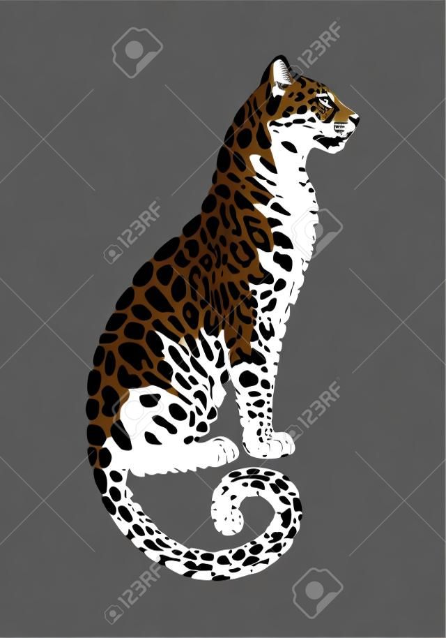 Jaguar zauważył sylwetkę. wektor siedzący żbik graficzny ilustracja. czarno na białym tle.