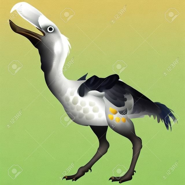 Kelenken Oiseau sur blanc - Kelenken est un genre éteint de géants rapaces voler qui sont appelés oiseaux de terreur de l'ère Miocène