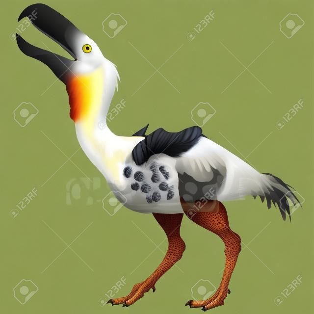 Bird Kelenken en blanco - Kelenken es un género extinto de aves predadoras gigantes no voladoras que se llaman aves del terror de la era del Mioceno
