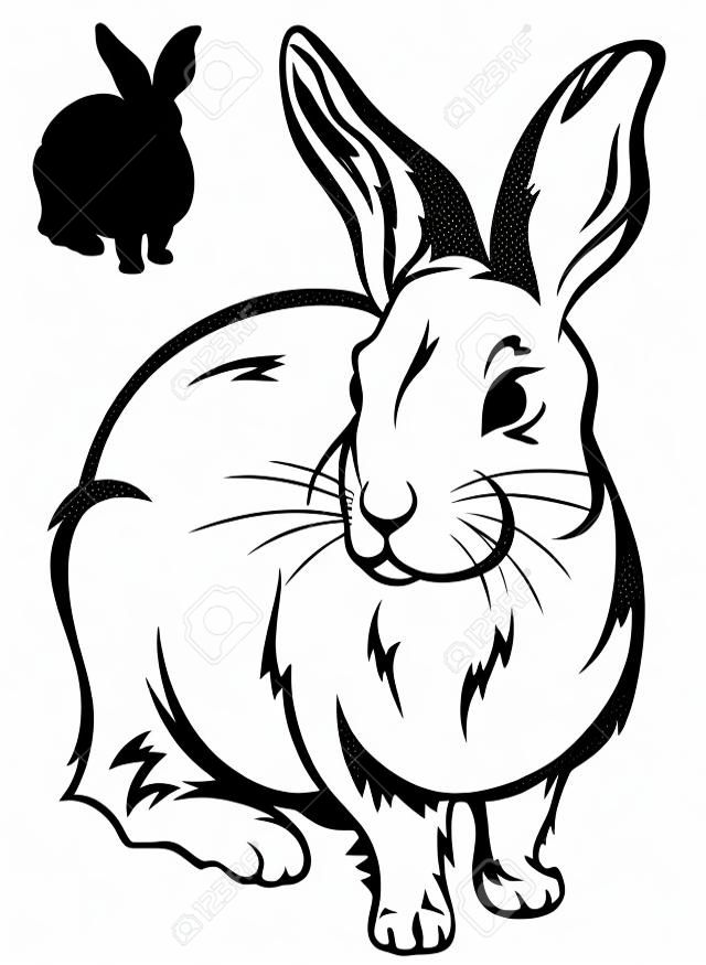 cute rabbit illustration - black and white outline and silhouette