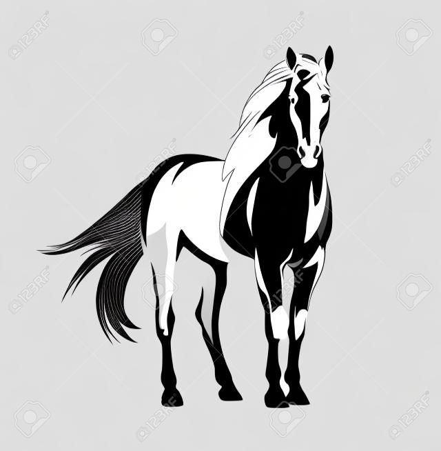Piękny koń mustang z wiatrem dmuchaną grzywą i ogonem - stojący dziki ogier czarno-biały wektor zarys portretu