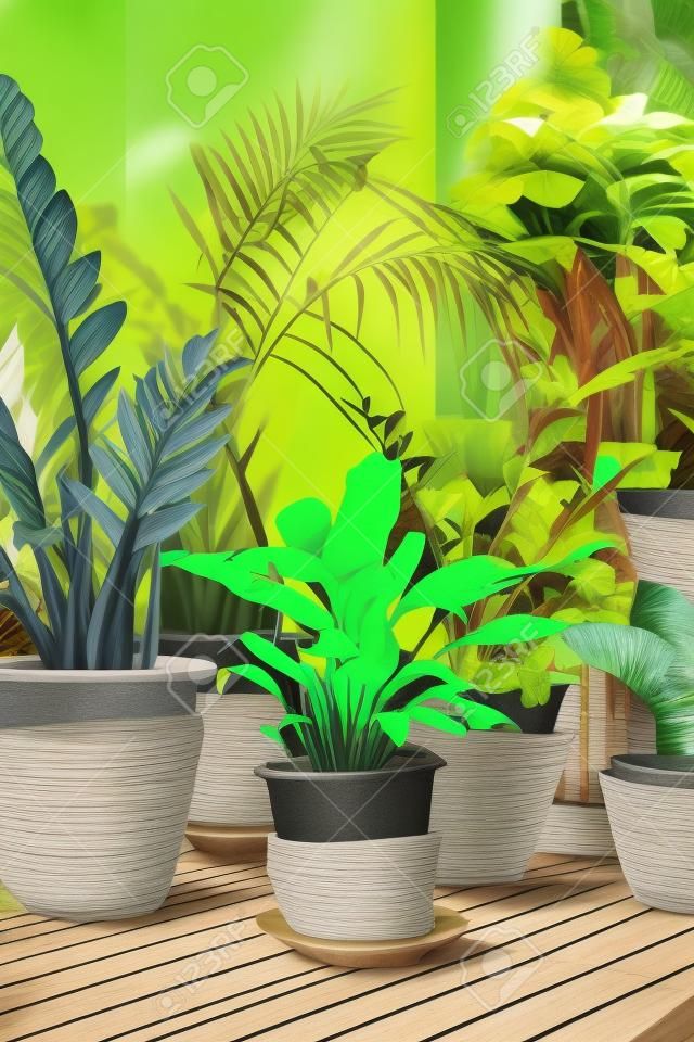 Groen tropische plant potten tuin op houten bank