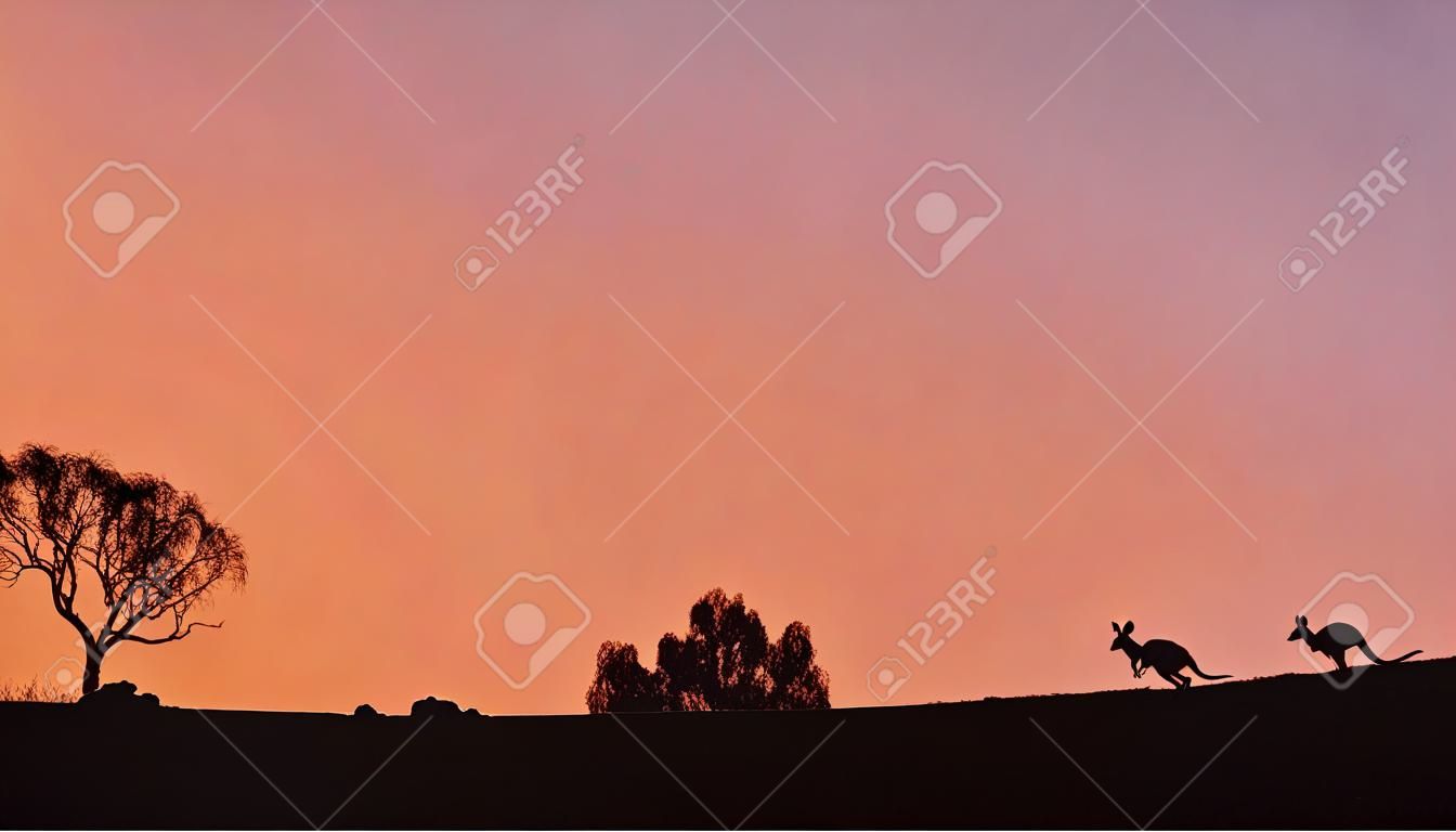 夕日の背景にカンガルー