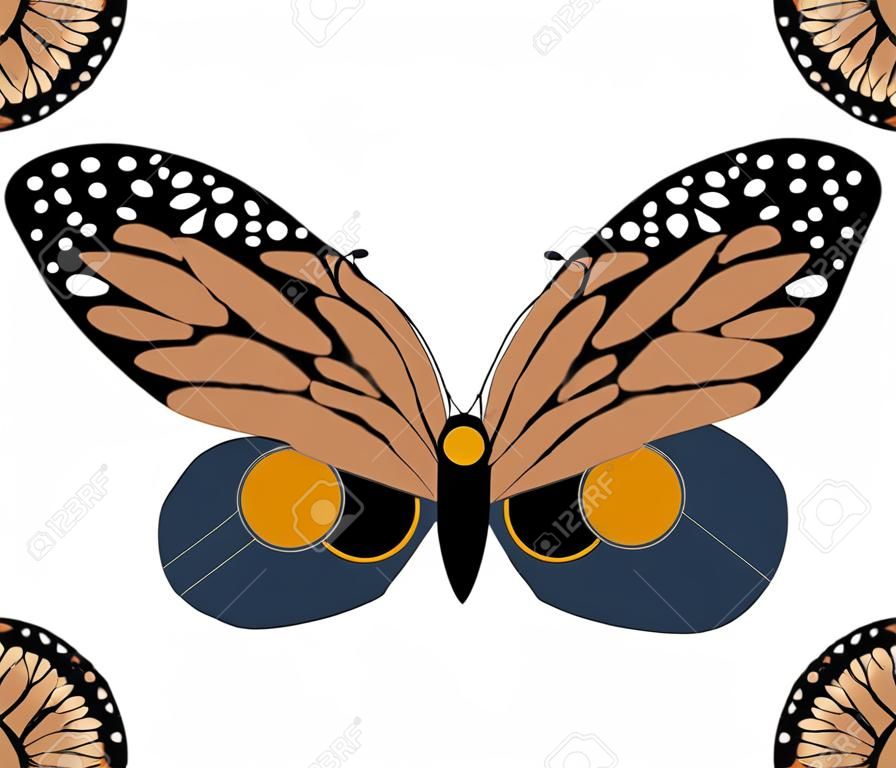 Butterfly protective coloring on wings imitates an owl