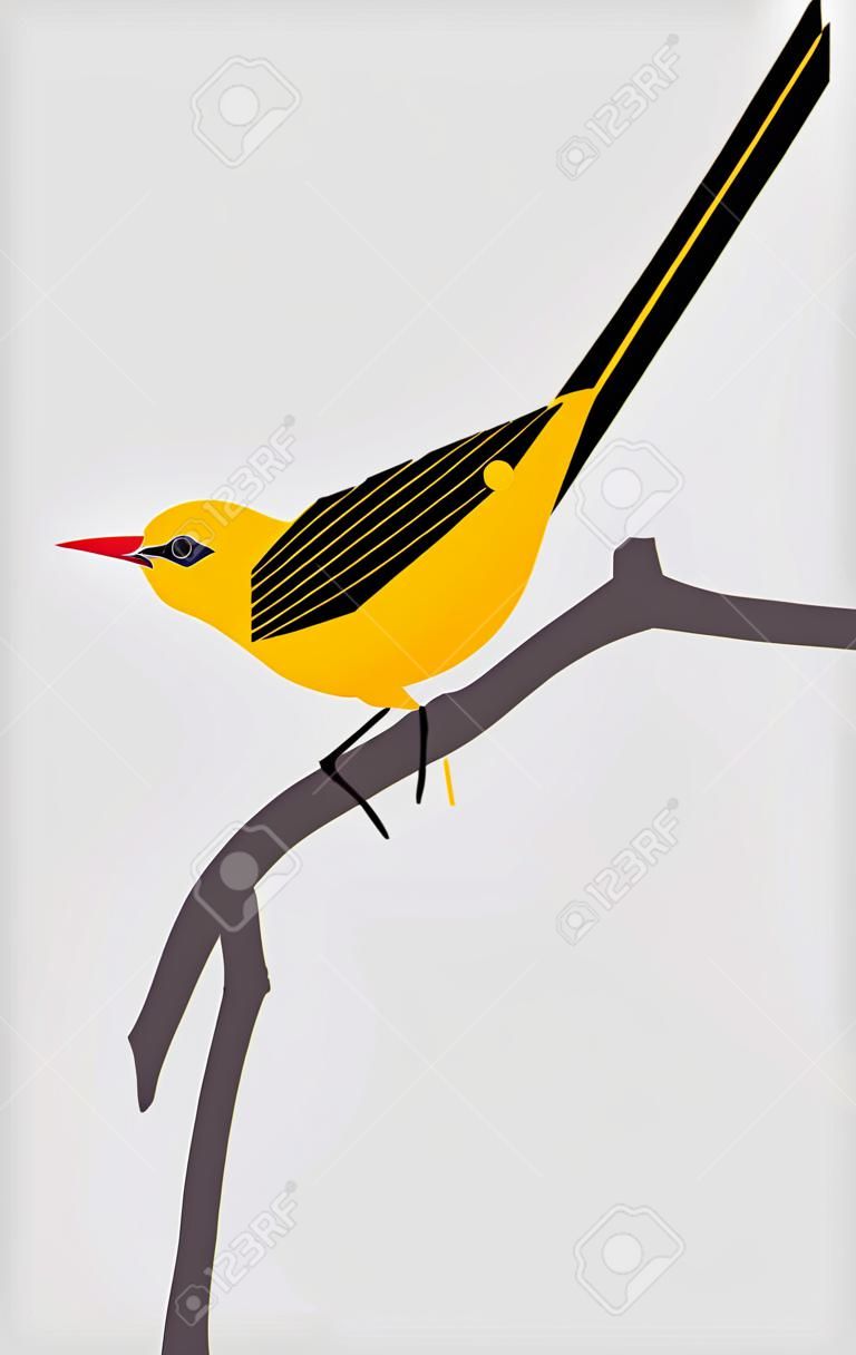 Yellow Oriole sitting on a tree branch on light gray background, stylized image