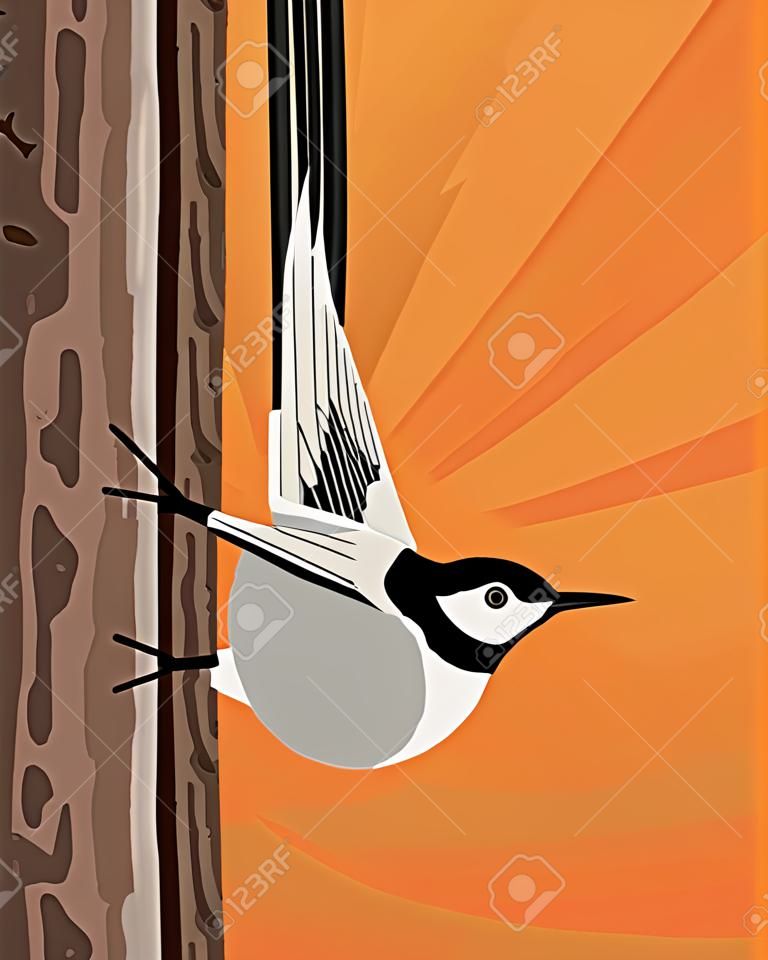 White wagtail moves virtuously along the tree trunk, stylized image