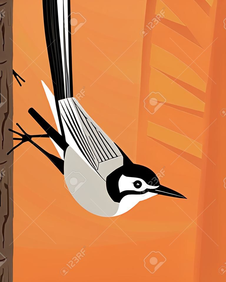 White wagtail moves virtuously along the tree trunk, stylized image