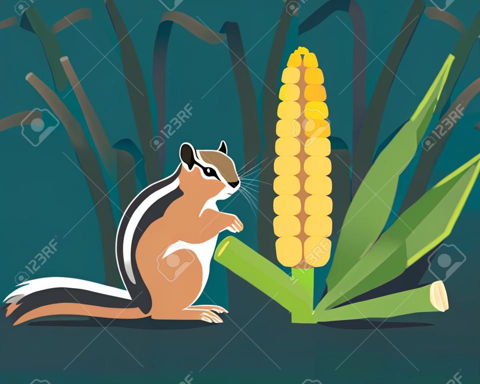 O esquilo (esquilo-terra) come milho no campo. Ele enche as bolsas da bochecha com grãos para que se tornem redondos. Imagem estilizada.
