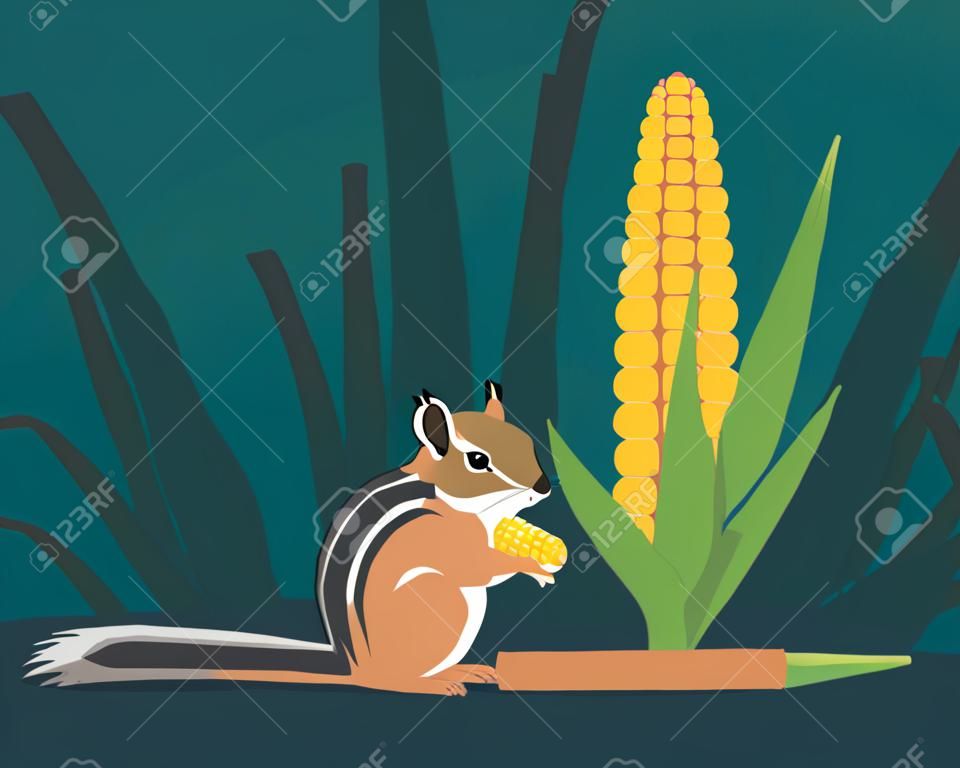 O esquilo (esquilo-terra) come milho no campo. Ele enche as bolsas da bochecha com grãos para que se tornem redondos. Imagem estilizada.