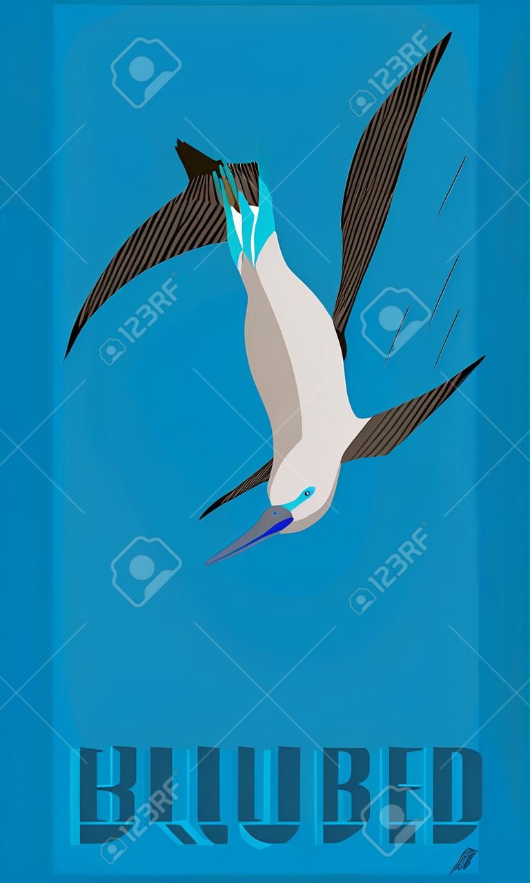 Boobies de pés azuis são engraçados e desajeitados em terra. Mas no ar, este pássaro é um caçador rápido, atacando presa com velocidade relâmpago. Imagem estilizada.