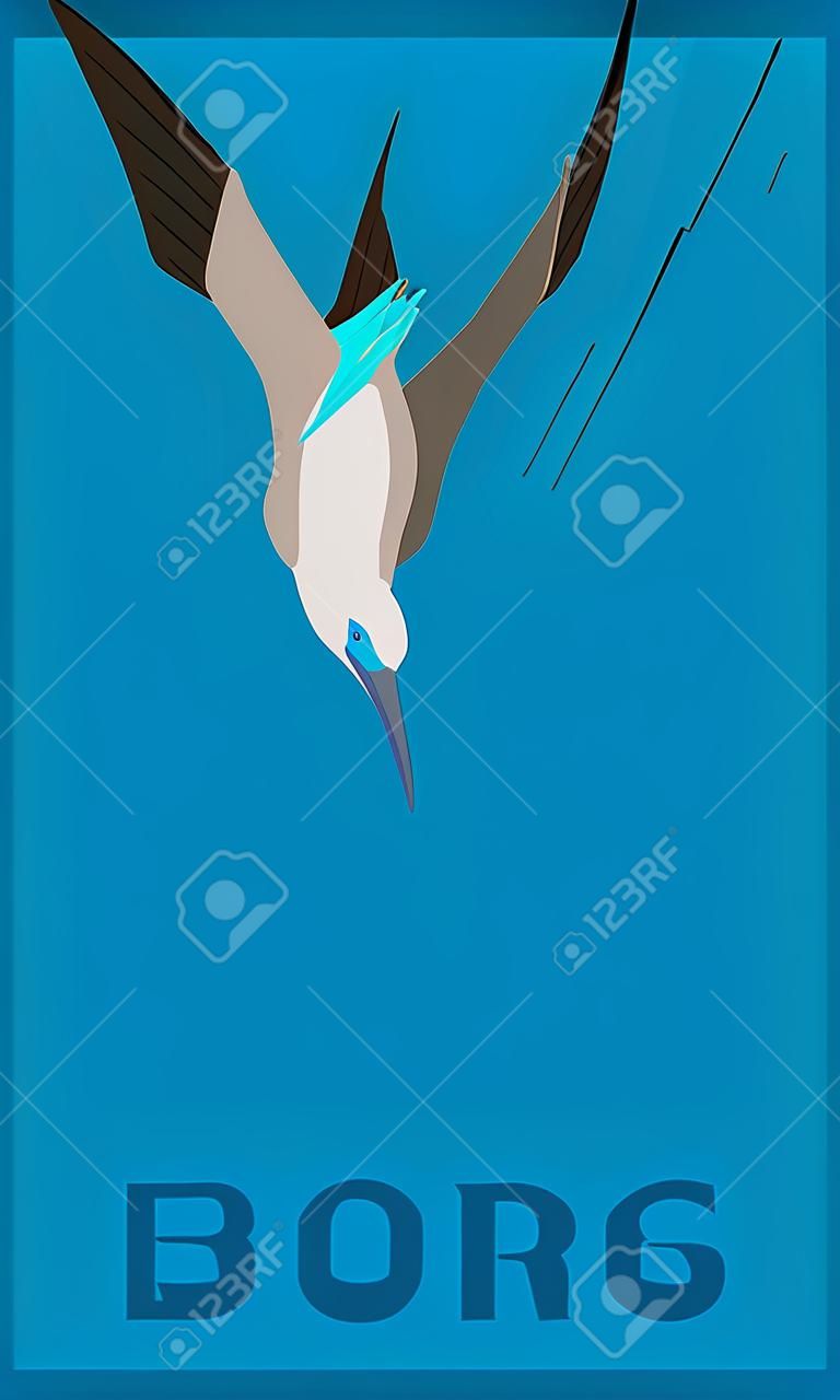 Boobies de pés azuis são engraçados e desajeitados em terra. Mas no ar, este pássaro é um caçador rápido, atacando presa com velocidade relâmpago. Imagem estilizada.