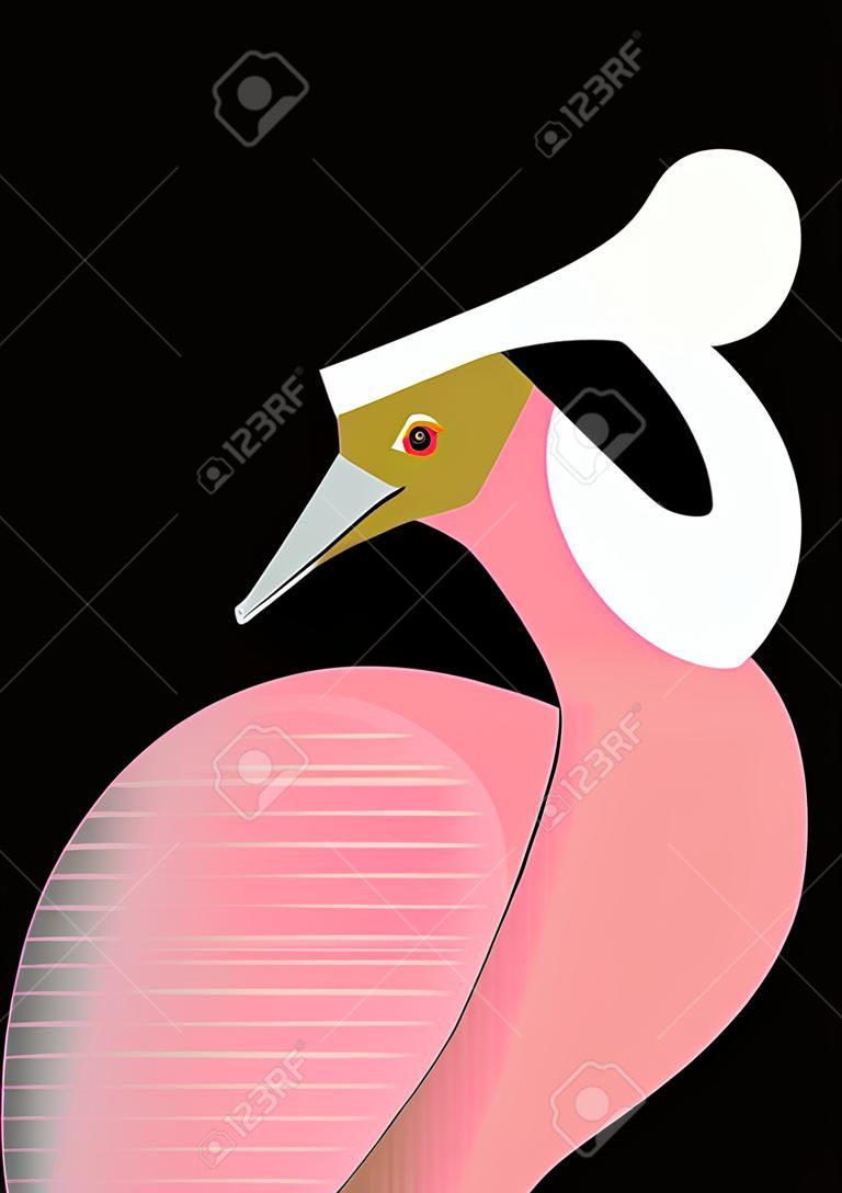 Roseate spoonbill cleans feathers, stylized image, vector