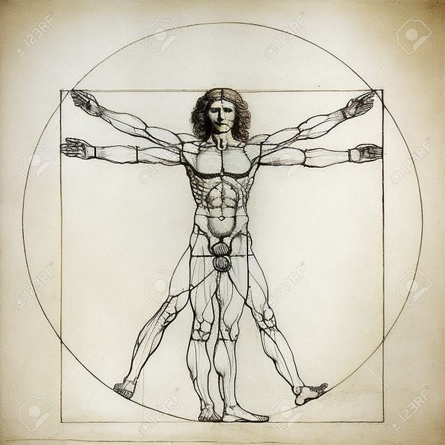 The Vitruvian man. Leonardo da Vinci 's Drawing on white, human anatomy
