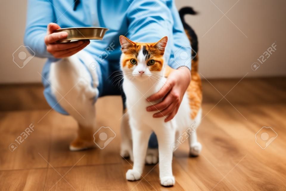 Domestic life with pet. Man holding bowl with feeding for his cat.
