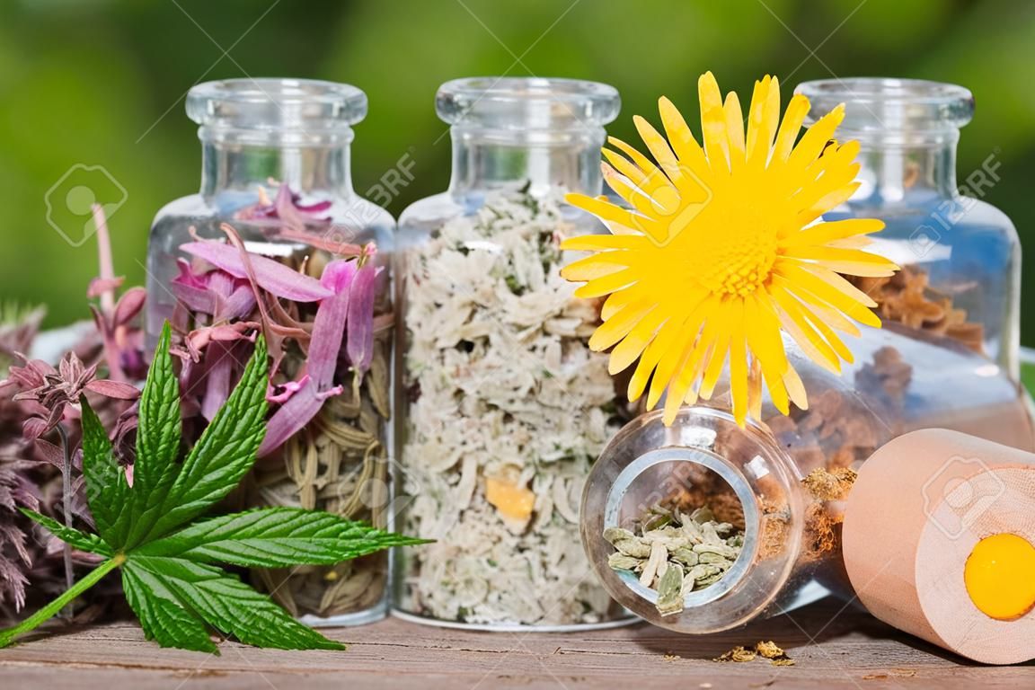glass bottles with healing herbs on wooden board in sunset sunlight, herbal medicine 