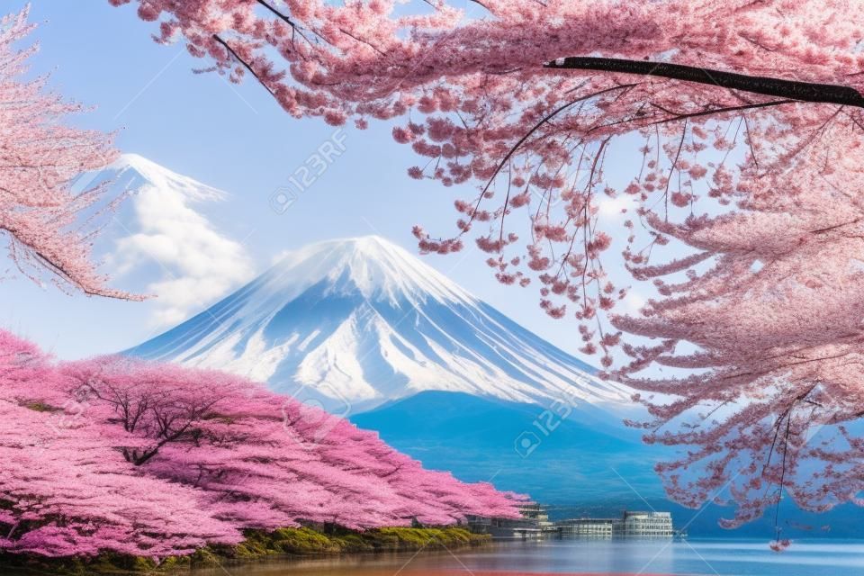El monte Fuji y los cerezos en flor que se ven desde el lago Kawaguchiko, Yamanashi, Japón