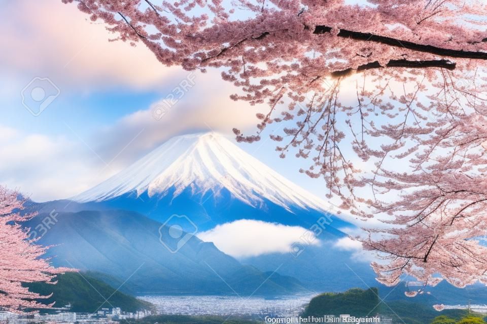 Monte Fuji e flores de cerejeira que são vistas do lago Kawaguchiko, Yamanashi, Japão