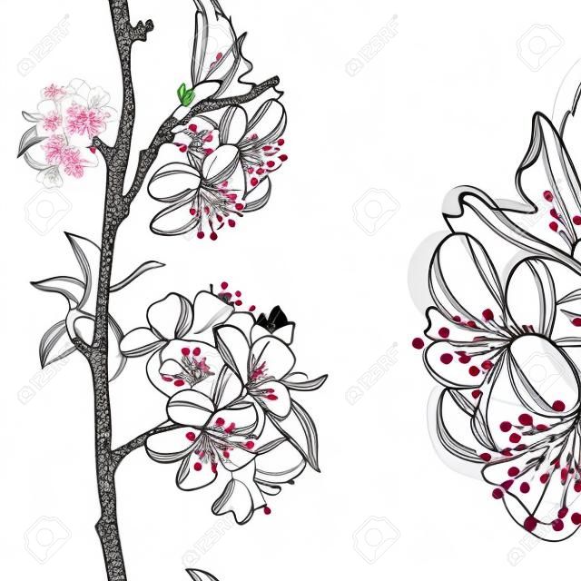 main décoratif tiré fleurs de cerisier, seamless