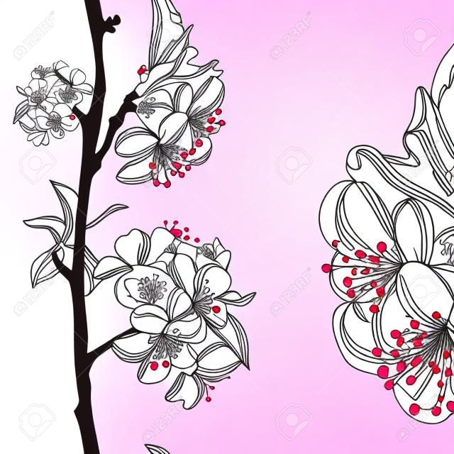 main décoratif tiré fleurs de cerisier, seamless